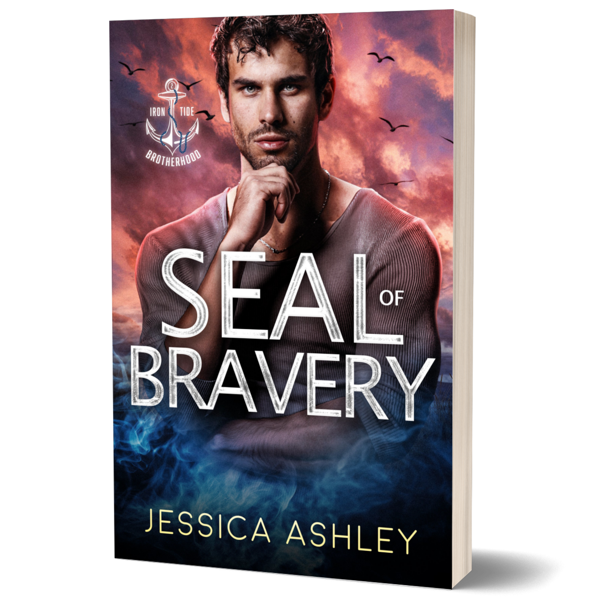 SEAL of Bravery 3D paperback Christian Romantic Suspense