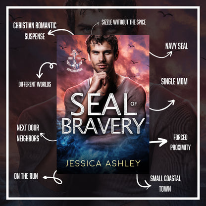 SEAL of Bravery Tropes Christian Romantic Suspense Navy SEAL romance